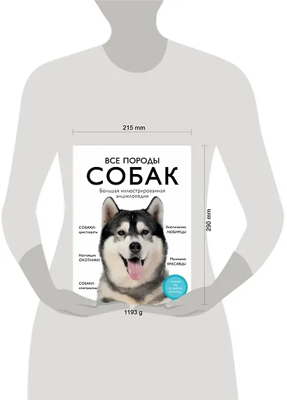 Все породы собак. Большая иллюстрированная энциклопедия - фото 4