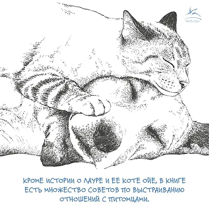 История кота, изменившего одну жизнь. Признание в любви - фото 8