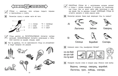 Мир вокруг - фото 6