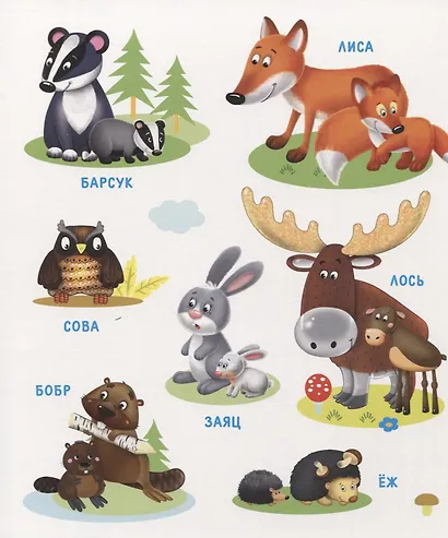 Моя первая книга о природе - фото 5