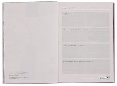 Ежедневник недат. А5 160л "Наппа. Аффирмации" золотистый, кожзам, мягк. переплет, тисн.фольгой, офсет, справ.мат-лы, 2 ляссе, инд.уп - фото 3