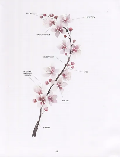 Botanical painting. Вдохновляющий курс рисования акварелью (Харриет де ...