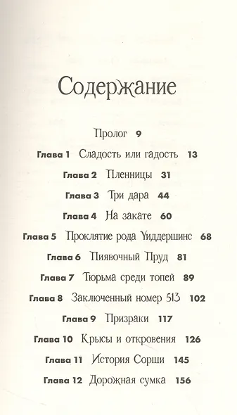 Щепотка магии - фото 2