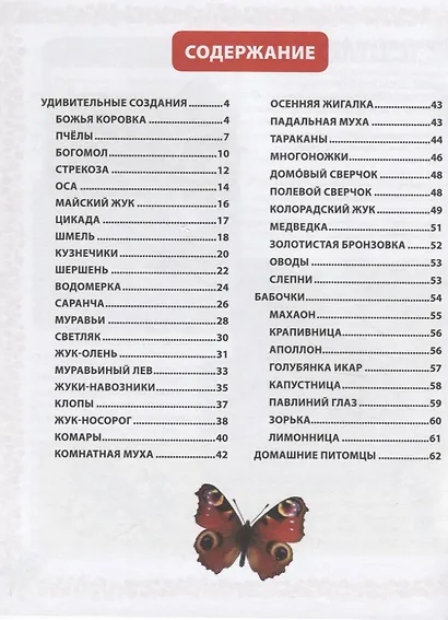Большая книга о насекомых. Иллюстрированная энциклопедия - фото 6