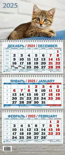 Календарь квартальный 2025г 195*465 "КОТЁНОК" настенный, трёхблочный, спираль - фото 1