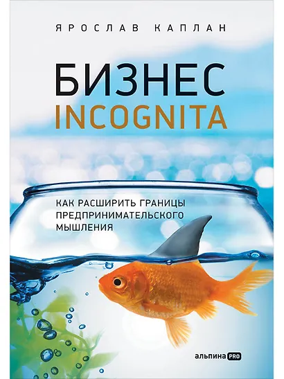 Бизнес incognita: Как расширить границы предпринимательского мышления - фото 1