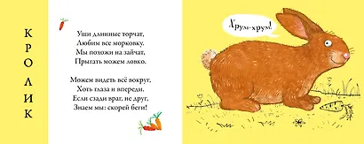 Перевертыши. Домашние  животные. Картинки - половинки - фото 10