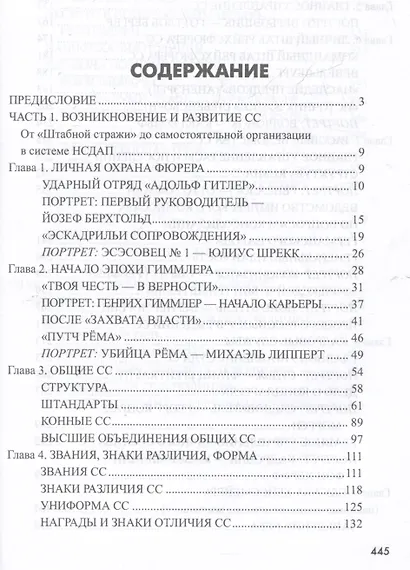 Государство террора. СС в системе власти Третьего рейха - фото 3