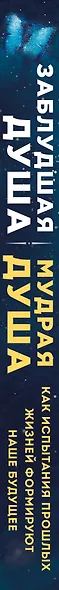 Заблудшая душа - мудрая душа. Как испытания прошлых жизней формируют наше будущее - фото 5