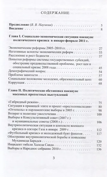 Анатомия египетской революции - 2011. Египет накануне и после политического кризиса в январе - феврале 2011 года - фото 2