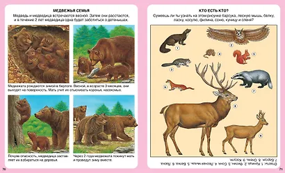 Жизнь леса - фото 7