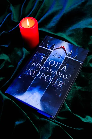 Тропа Крысиного короля - фото 12