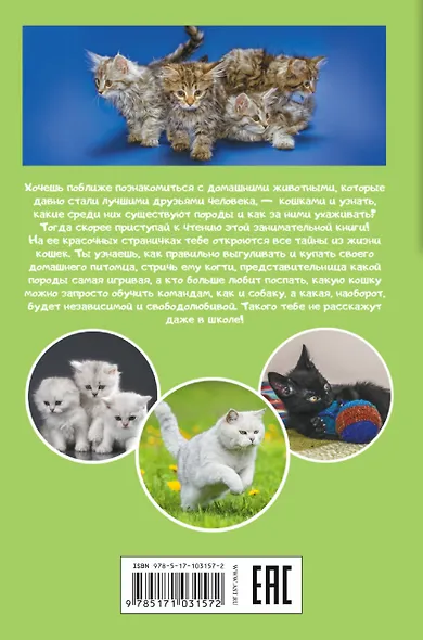 Кошки и котята - фото 2