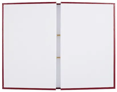 Обложка для дипломных работ красная, бумвинил - фото 7