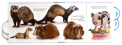 Кто? - фото 3