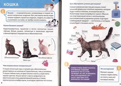 ЭНЦИКЛОПЕДИЯ ДЛЯ МАЛЕНЬКИХ ПОЧЕМУЧЕК. Домашние питомцы - фото 4