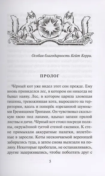 Тень Когтегрива Видения - фото 2