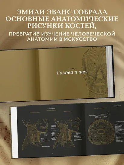 Анатомия в черном. Медицинский атлас для любителей роскоши и стиля - фото 5