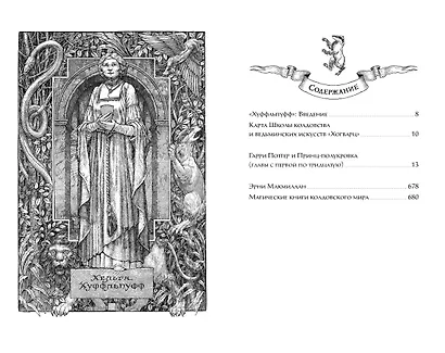 Гарри Поттер и Принц-полукровка (Хуффльпуфф) - фото 3