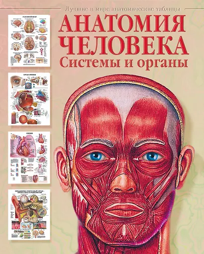 Анатомия человека. Системы и органы - фото 1