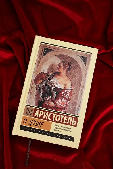 О душе - фото 4