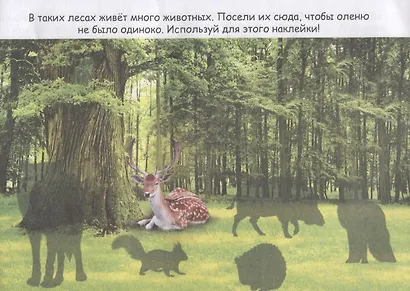 Животные со всего света - фото 2