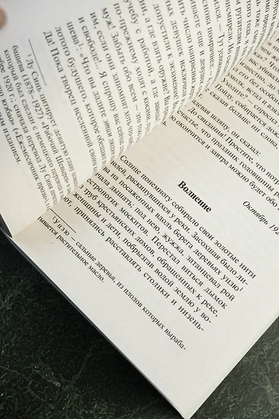 Записки сумасшедшего - фото 8