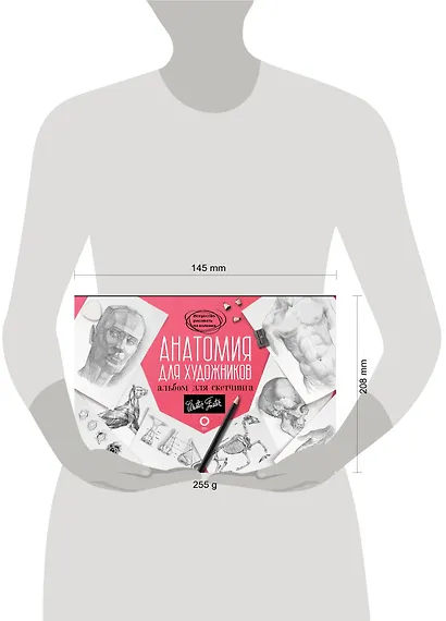 Анатомия для художников. Альбом для скетчинга - фото 3
