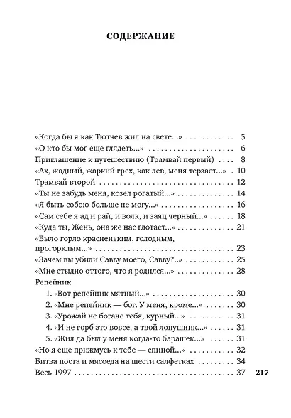 Небесная лиса - фото 3
