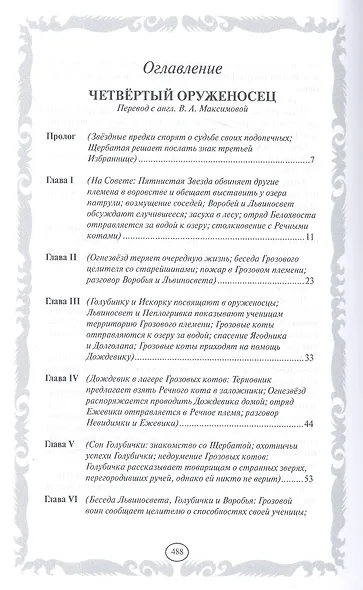 Четвертый оруженосец. Долгое эхо - фото 13