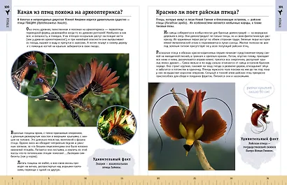 Редкие и удивительные животные нашей планеты. Энциклопедия для детей - фото 9