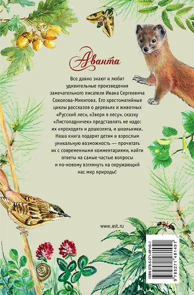 Русский лес - фото 2