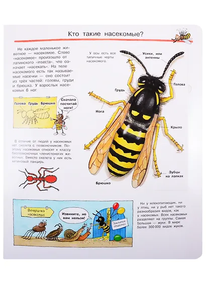 Что? Почему? Зачем? Все о насекомых (с волшебными окошками) - фото 3