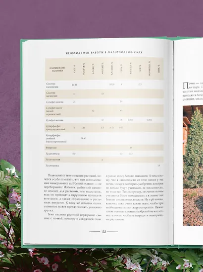 Секреты малоуходного сада. Как создать дизайн участка с неприхотливыми декоративными растениями - фото 9