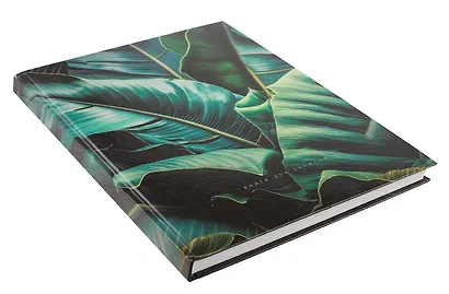 Книга для записей А4 160л кл. "Стрелиция" 7БЦ, глянц.лам, офсет - фото 2