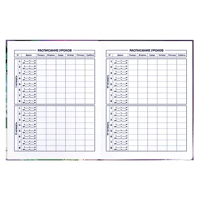 Дневник для средних и старших классов Феникс+, "Кеды" - фото 3