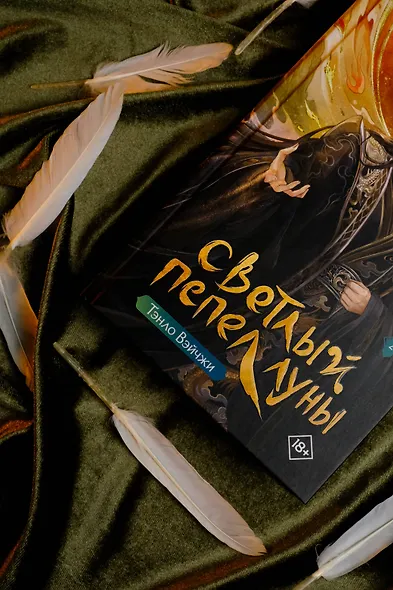 Светлый пепел луны. Книга 2. Новелла - фото 13