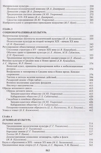 Адыги: Адыгейцы. Кабардинцы. Черкесы. Шапсуги - фото 3