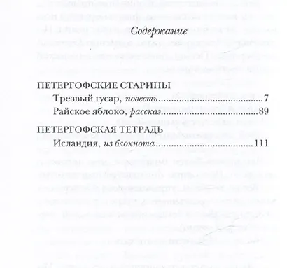 Трезвый гусар - фото 3
