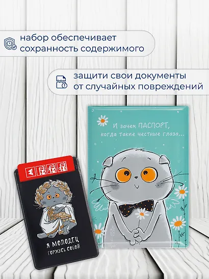 Набор обложка д/ паспорта и чехол д/карточек Басик - фото 5
