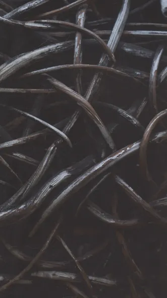 Королевские камни - фото 3