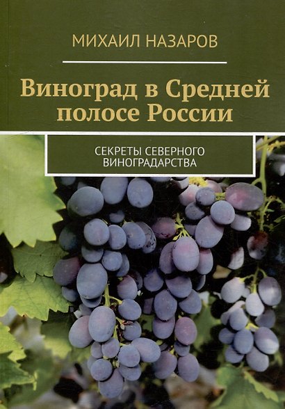 Виноград в Средней полосе России. Секреты северного виноградарства - фото 1