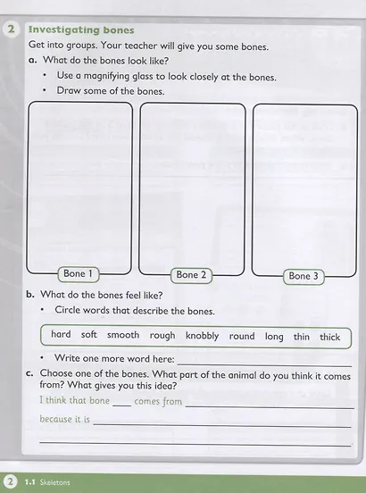 Max Science primary. Discovering through Enquiry. Workbook 4 - фото 4