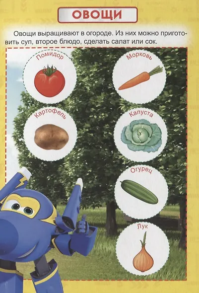 Мои первые знания - фото 4