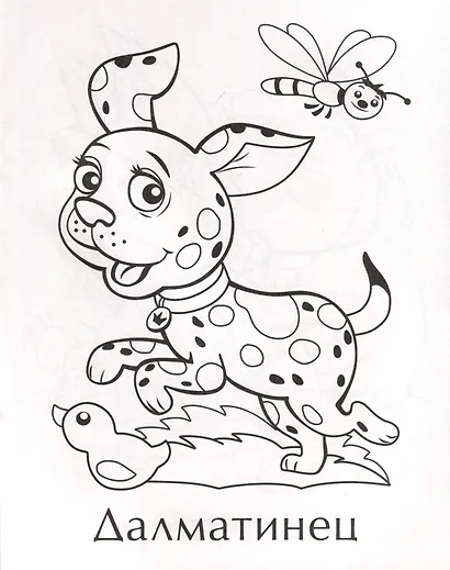 Собачки - фото 3