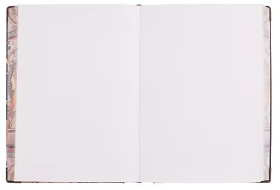 Книга для записей "А. Муха" А5, 248 листов, твердая обложка, 120г/м2, в ассортименте - фото 11