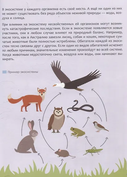 Детская энциклопедия. Земля и космос - фото 5