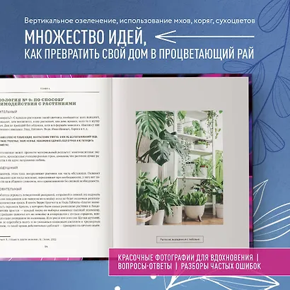 Про растения. Как выбрать комнатные под свой стиль и ухаживать за ними без стресса - фото 6