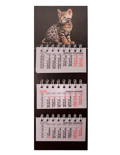 Календарь квартальный 2026г 82*230 "Котенок на черном" на магните - фото 1