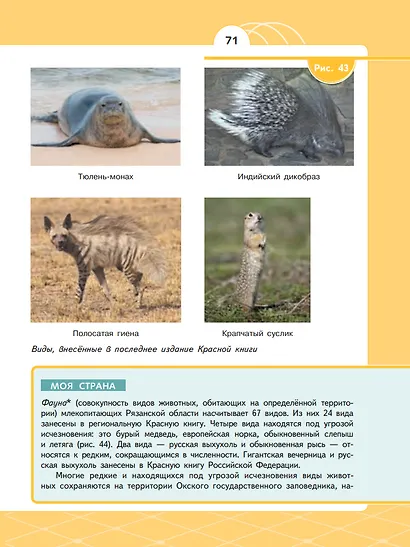 Естественно-научные предметы. Экологическая культура. 5 класс. Учебник - фото 4